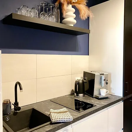Stylowy Kat W Kameralnej Kamienicy Daire *